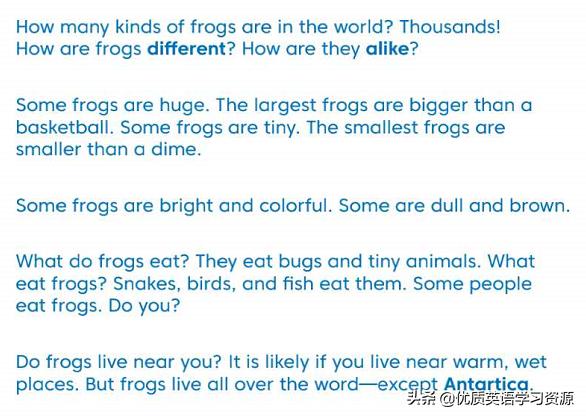 frog是什么意思(frog是什么意思英语单词)