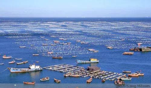 舟山渔场是中国第几大渔场(舟山渔场是中国第几大渔场-)