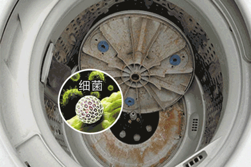 滚筒洗衣机怎么清理里面的脏东西(滚筒洗衣机怎么清理里面的脏东西视频)