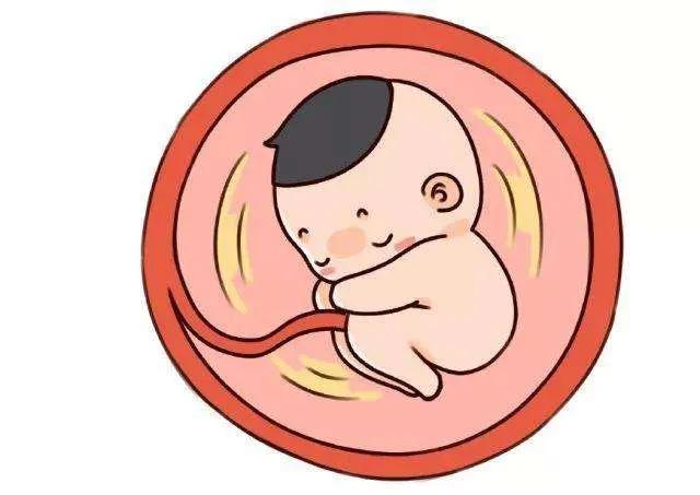 什么提示你怀了男宝宝(什么提示你怀了男宝宝这几6个症状据说超准)_1