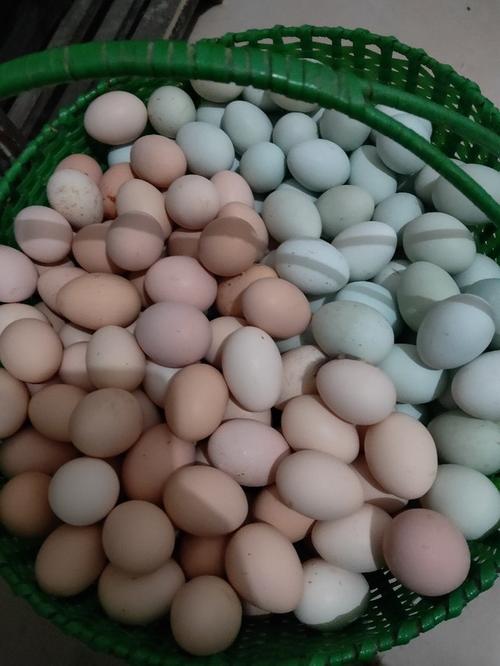 安徽鸡蛋多少钱